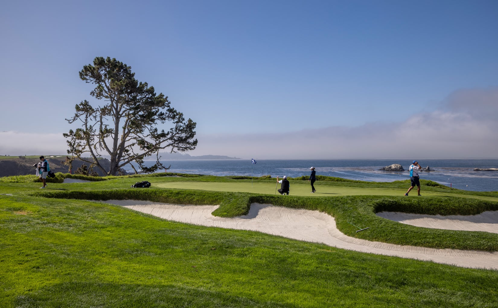 Golfers and caddies on a bright green near a large cypress tree and deep bunkers along the ocean